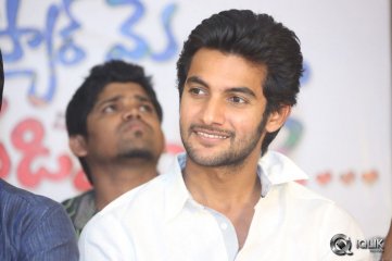 Pyaar Mein Padipoyane Movie Success Meet